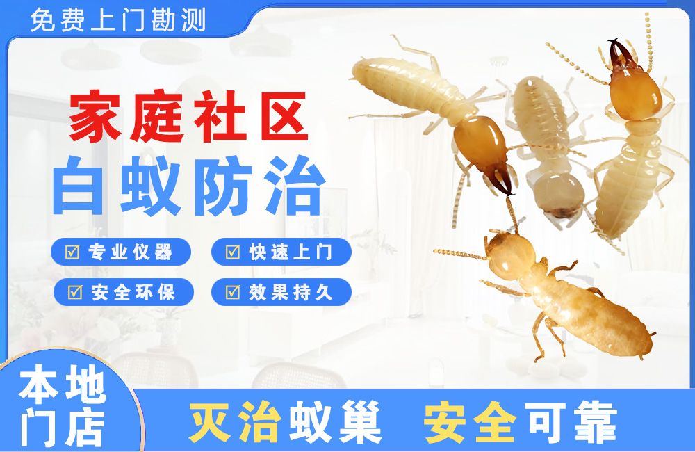 诸暨家庭社区白蚁防治