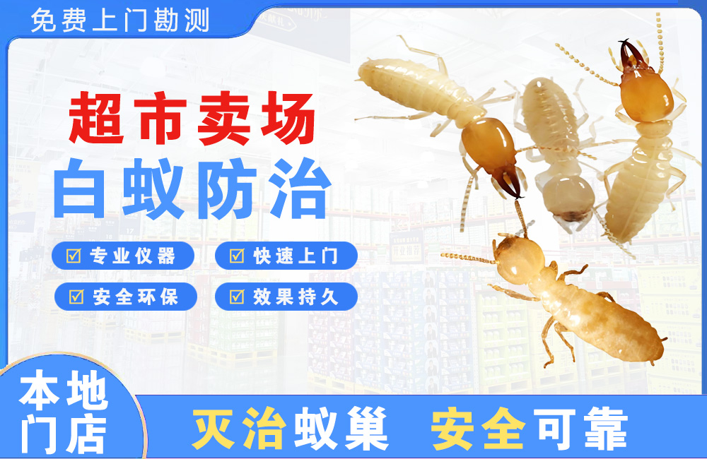 诸暨超市卖场白蚁防治