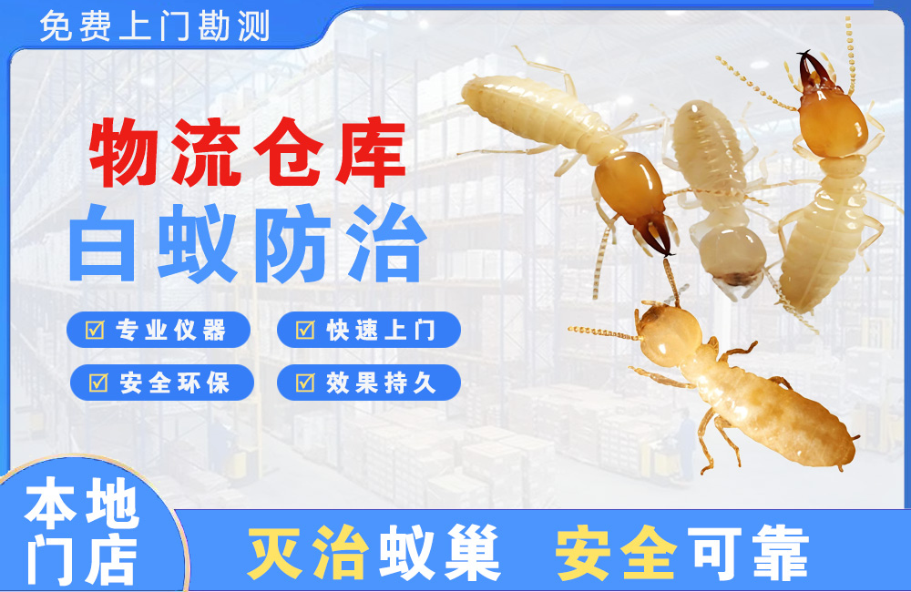 诸暨物流仓库白蚁防治