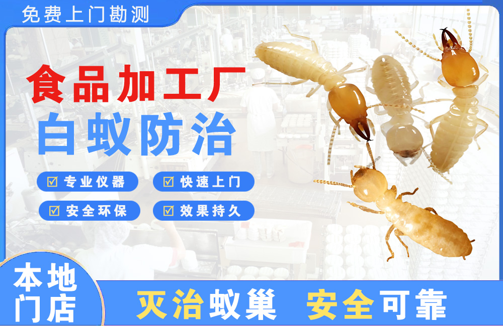诸暨食品加工厂白蚁防治