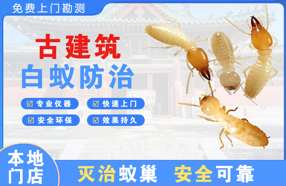 诸暨古建筑白蚁防治