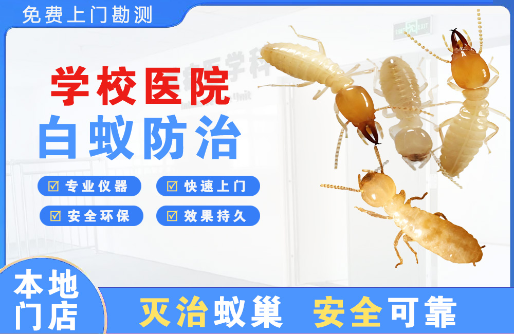 诸暨学校医院白蚁防治