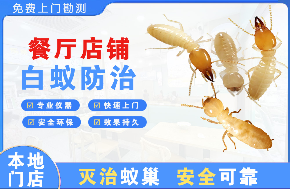 诸暨餐厅店铺白蚁防治